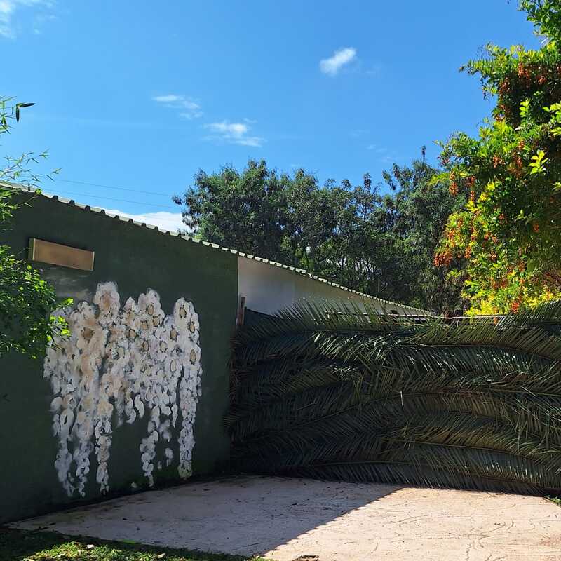 Splash Pool Area